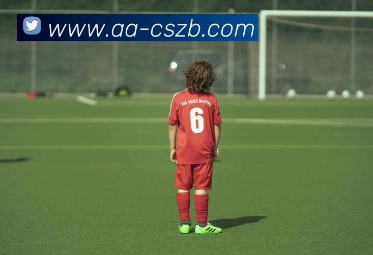 彩神争霸服务体系